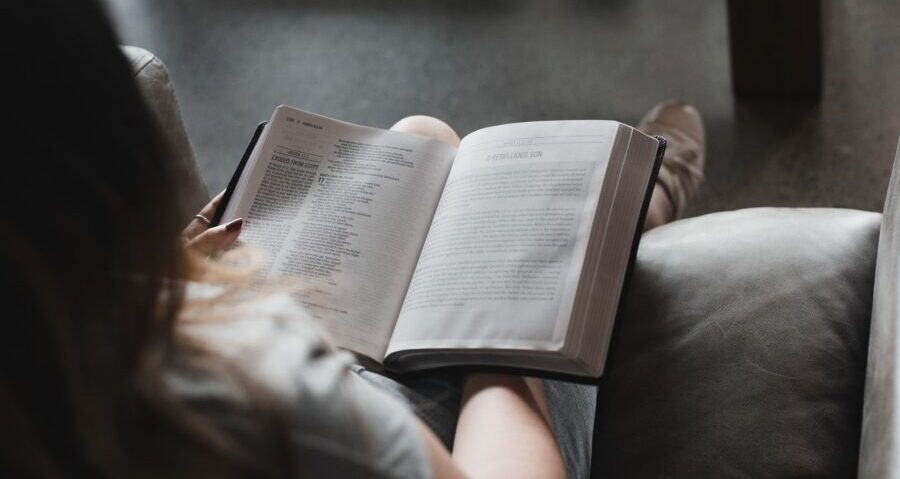 【結論】読書する時間帯は朝でも夜でもOKです